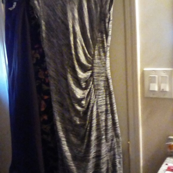 Suzy Sheer Dress - Picture 2 of 4